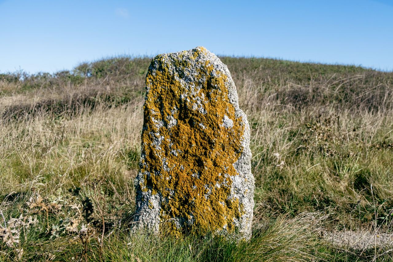 Milestone