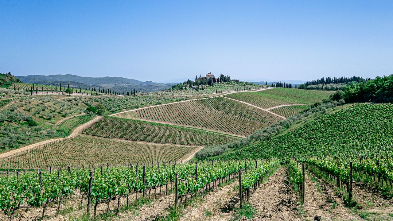 Wineyards