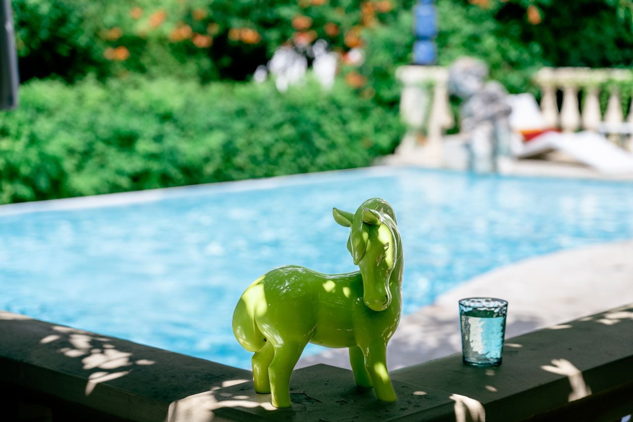 Horse