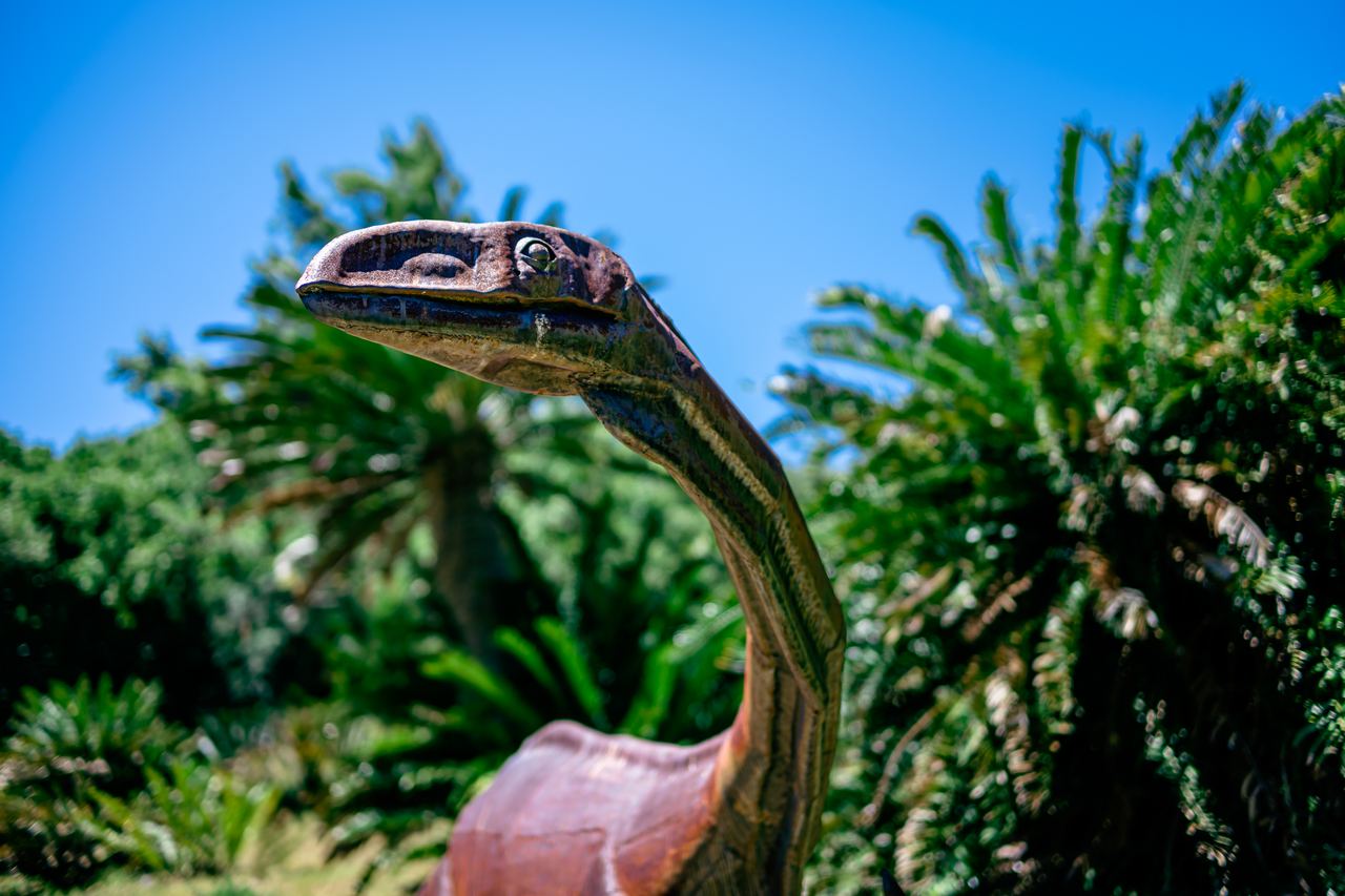 Dinosaur
