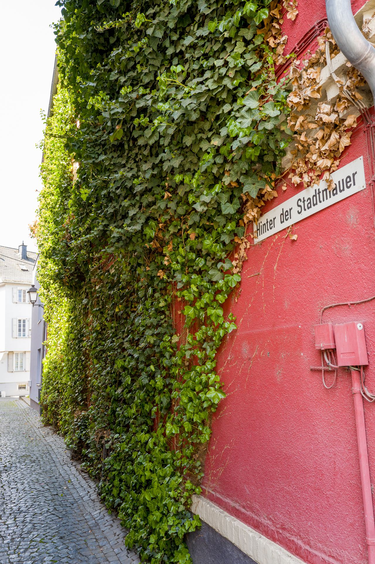 Behind the old City Wall