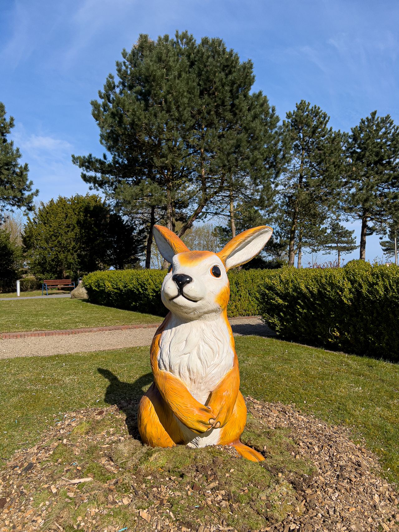 Ostseefrühling – Foto 5