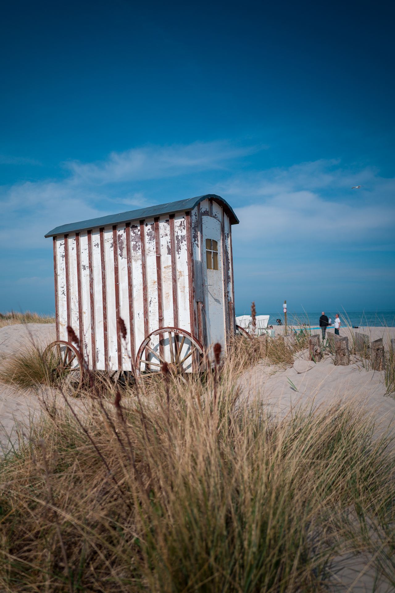 Ostseefrühling – Foto 8