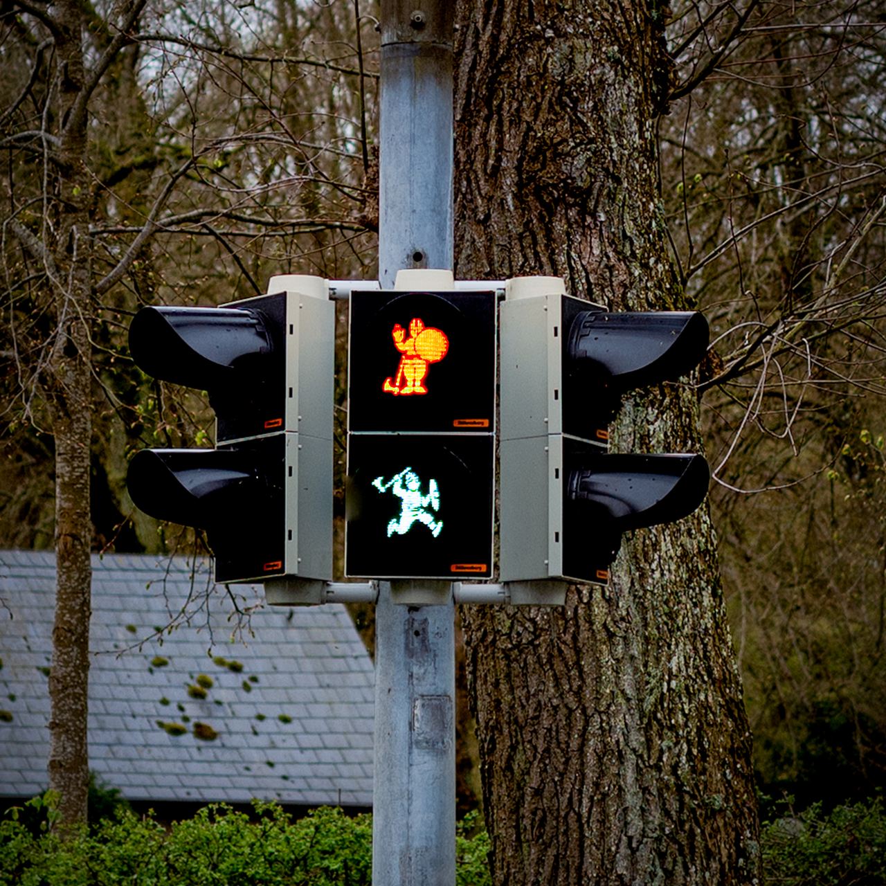 Ostseefrühling – Foto 10