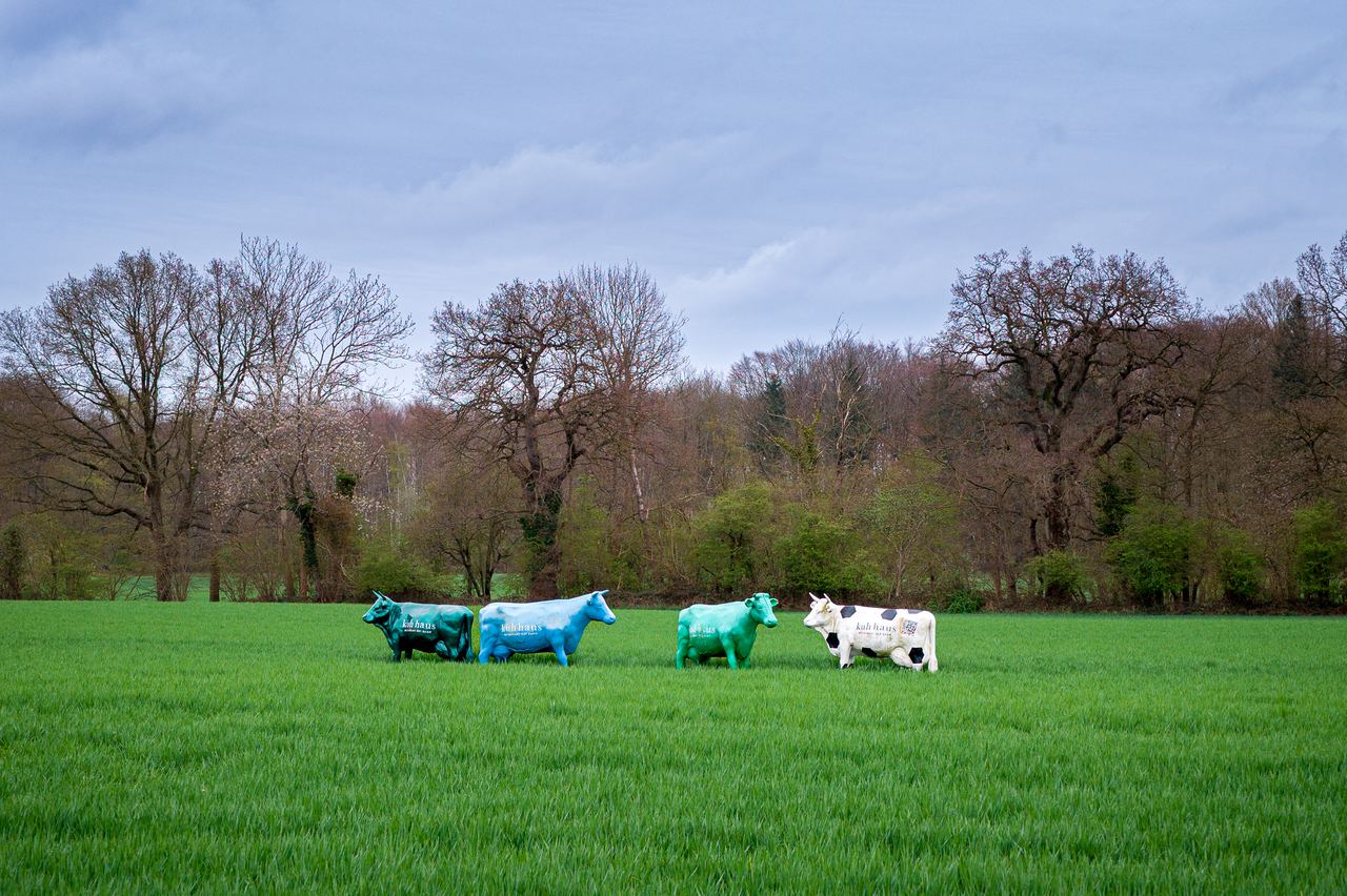 Ostseefrühling – Foto 12