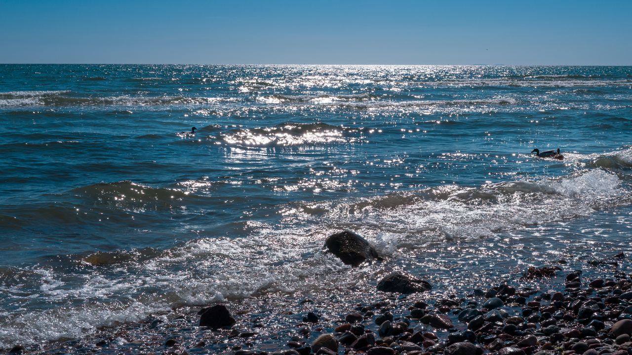 Ostseefrühling – Foto 21