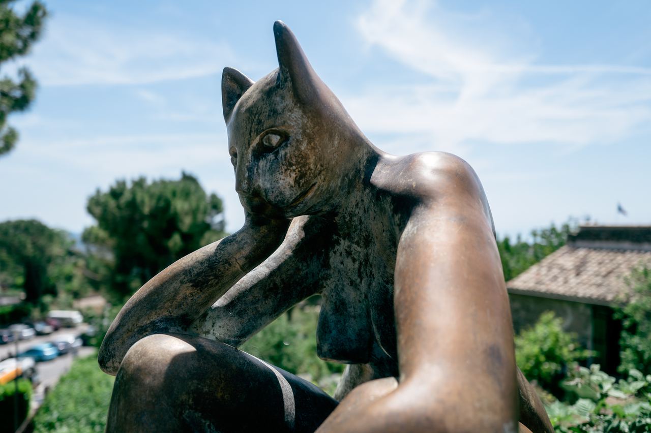 Cat Lady, Saint-Jeannet
